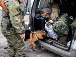 Николаевские полицейские собаки «вынюхали» в зоне АТО взрывчатку, оружие и наркотики