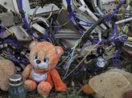 Адвокат жертв MH17 призвал Путина искупить вину