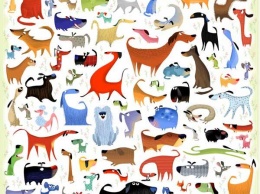 1 кошка спряталась среди 99 собак, и 1 песик - среди 99 кошек. Как быстро вы их найдете?