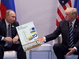 Политические фотожабы встречи Трампа и Путина от заммэра Днепра Яники Мерило