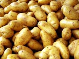 За неделю цена на картофель подскочила на 14%