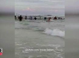 Во Флориде тонувшую семью спасли живой цепью из 80 человек (видео)