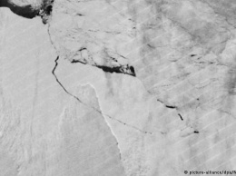 От ледника в Антарктиде откололся айсберг в 1 трлн тонн