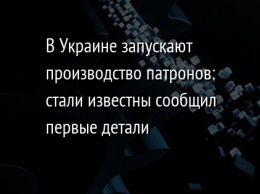 В Украине запускают производство патронов: стали известны сообщил первые детали