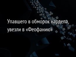 Упавшего в обморок нардепа, увезли в «Феофанию»