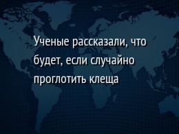 Ученые рассказали, что будет, если случайно проглотить клеща