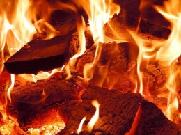 Под Киевом выгорело 12 гектаров леса из-за незатушенного костра