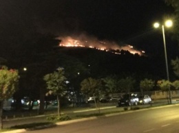 Лесные пожары возле столицы Черногории: за ночь ликвидировали 37 очагов