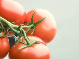 Биологи назвали помидоры "убийцами" рака
