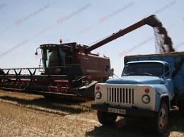 В Бердянском районе треть урожая зерновых и зернобобовых уже убрали