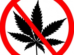 Почему запретили марихуану? Реальная причина хуже, чем вы думаете!