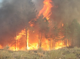 Под Новой Каховкой горят леса