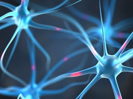 Ученые МГУ нашли способ остановить болезнь Альцгеймера на ранней стадии
