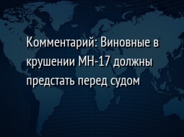 Комментарий: Виновные в крушении MH-17 должны предстать перед судом