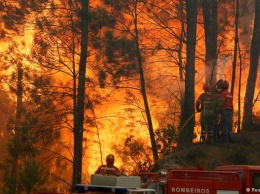 Лесные пожары в Европе охватывают новые регионы