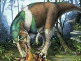 Палеонтологи доказали, что тираннозавры бегали медленнее человека
