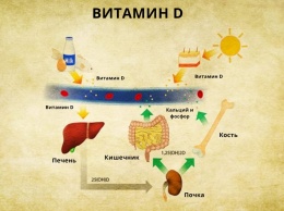 5 признаков, что вашему телу не хватает витамина D
