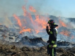 Оккупационная администрация Севастополя заявила, что в городе вспыхивают пожары из-за дождей