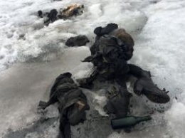 В Альпах нашли тела семейной пары, которые пролежали во льдах 75 лет