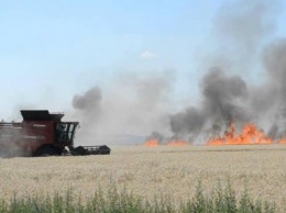 Спасатели напоминают: пожар может стать причиной гибели урожая