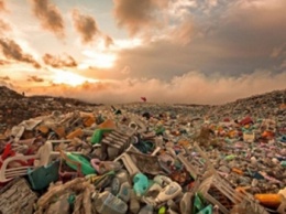 За полвека человечество произвело более 8,3 млрд тонн пластика