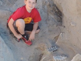 Маленький мальчик нашел череп стегомастодонта
