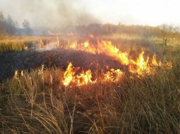 В Днепропетровской области объявлен 5 класс пожарной опасности