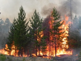 Херсонская область потерпает от пожаров