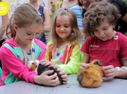 Работники Киевского зоопарка наведались к детям в "Охматдет" вместе с животными (фото)