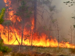 Албания в огне. За сутки в 18 местах страны пылают лесные пожары