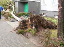 Непогода в Польше вырвала с корнем деревья и подтопила дома