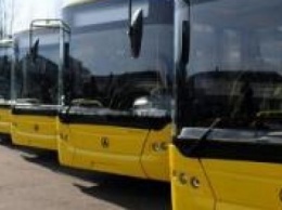Из криворожкого бюджета выделят 60 миллионов и заменят 150 маршруток новыми автобусами (ФОТО)