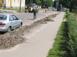 У черниговского госпиталя выкорчевали живую изгородь