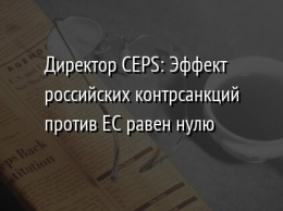 Директор CEPS: Эффект российских контрсанкций против ЕС равен нулю