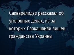 Сакварелидзе рассказал об уголовных делах, из-за которых Саакашвили лишен гражданства Украины