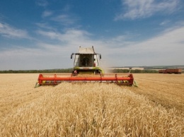 На Днепропетровщине завершается жатва зерновых