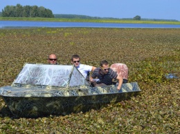 Водяной орех все больше "убивает" Киевской водохранилище - экологи бьют тревогу