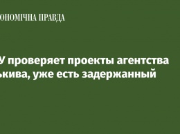 НАБУ проверяет проекты агентства Каськива, уже есть задержанный