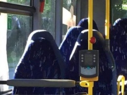 Норвежские националисты приняли автобусные сиденья за мусульманок и начали возмущаться