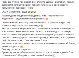 Все глубже пробивают дно: сеть ошарашило изнасилование щенка в Днепре