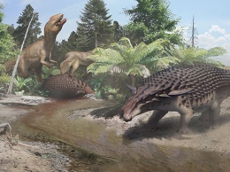 Палеонтологи откопали полную "броню" самого неуязвимого динозавра