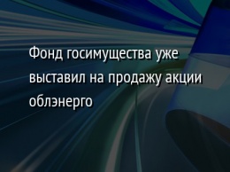 Фонд госимущества уже выставил на продажу акции облэнерго