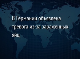 В Германии объявлена тревога из-за зараженных яйц