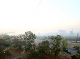 Пожар на Бердянской свалке случился из-за поджога