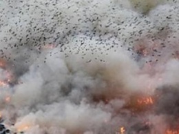 Пожары на городской свалке доставляют дискомфорт херсонцам