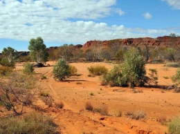 В Австралии турист выжил в пустыне благодаря телепередаче