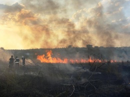 Масштабный пожар в Запорожье: тушили 24 спасателя