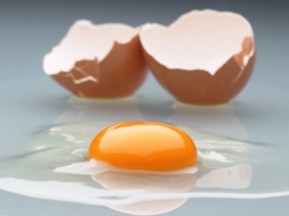 Яйца с токсичным веществом могли попасть в семь стран ЕС