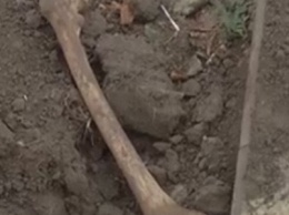 Жуткая находка: в центре Сум найдены человеческие останки