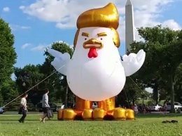 Гигантский цыпленок с прической как у Трампа у Белого дома